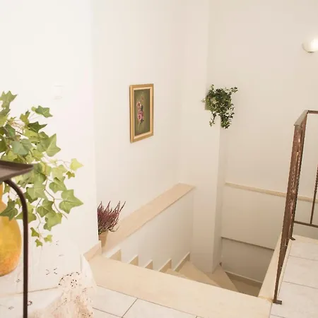 公寓 Maisonette With Garden In The Heart Of The Historical Center *